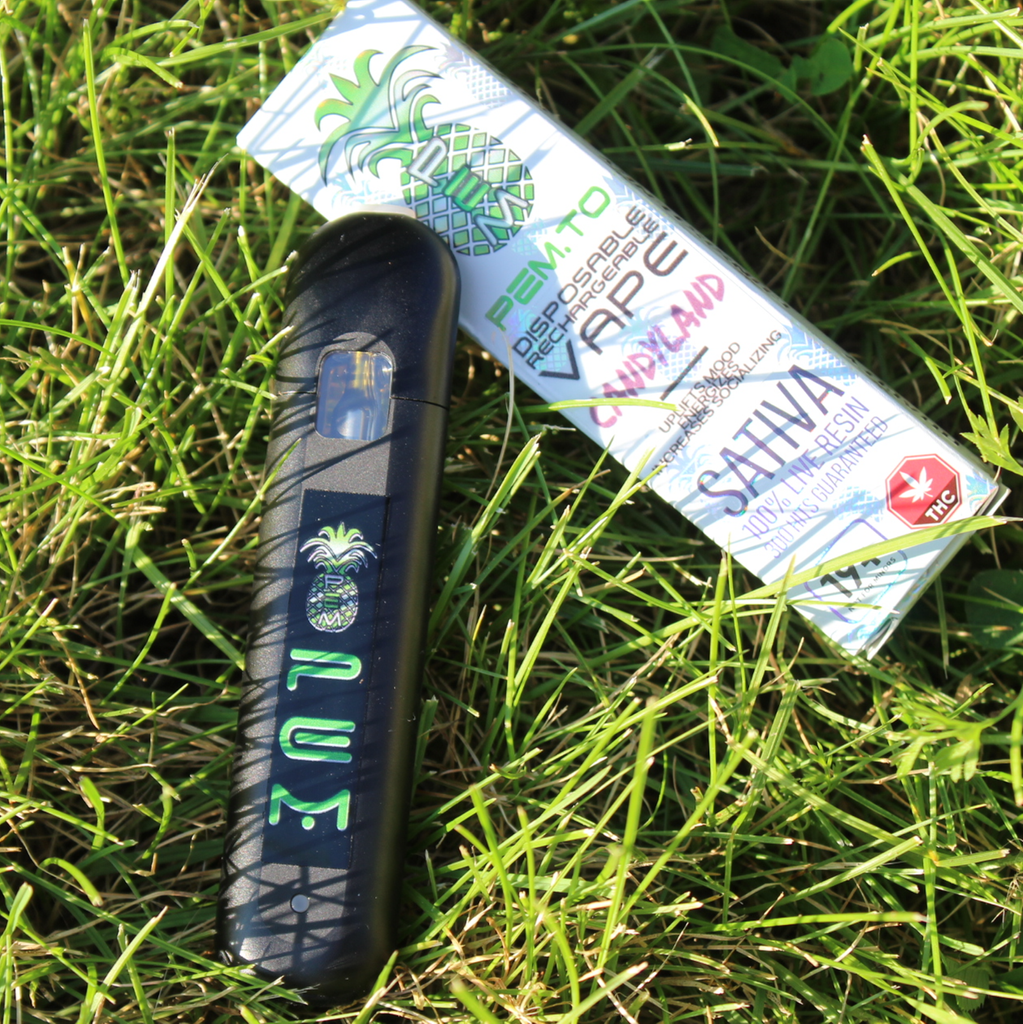 PEM Disposable Vape Pen (Rechargeable) - 1 ML