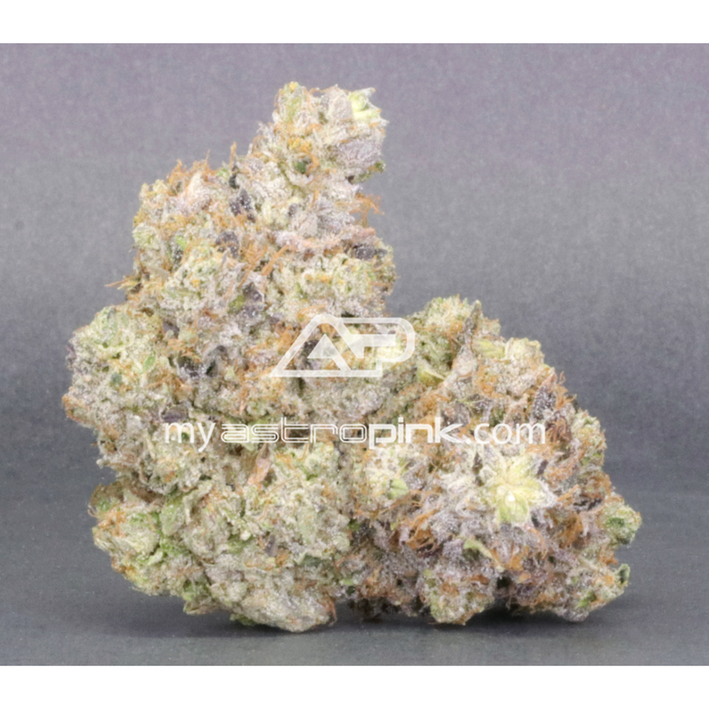   Astropink | Lot #7093 - PINK PARANOIA (7g / 14g)