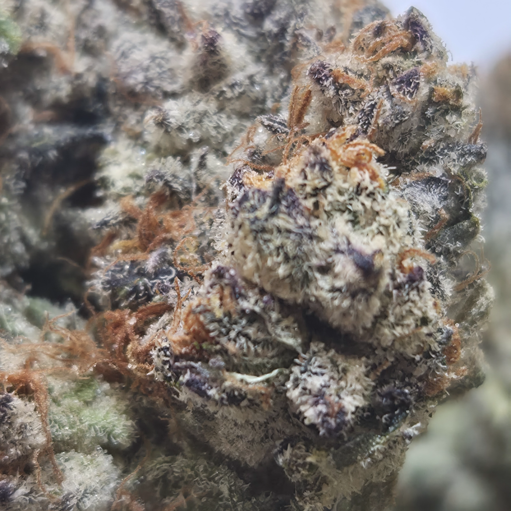 (NEW) Master Pink 💳💝 ( $120/Oz) 🔥 