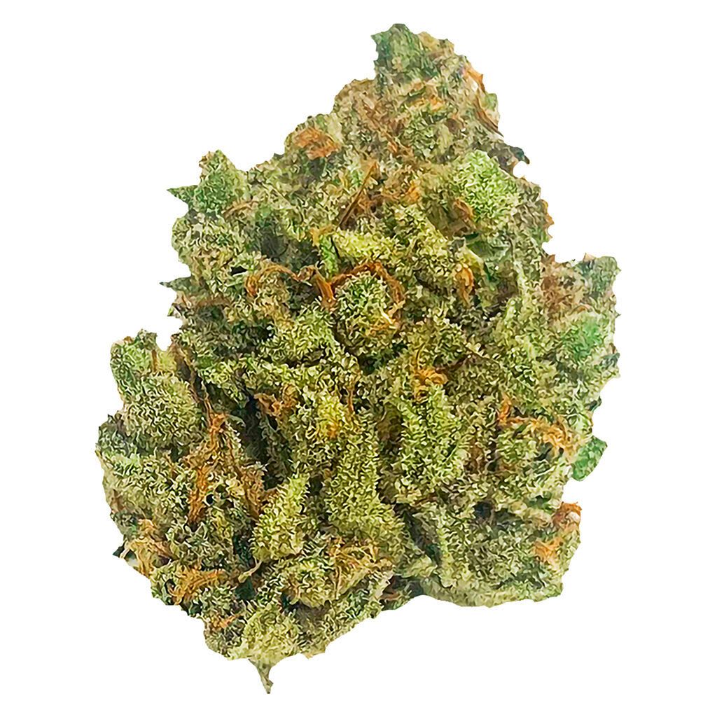 Anjou Amnesia Haze 3.5g <br>Sativa <br>25.4% | 5.60% Terps