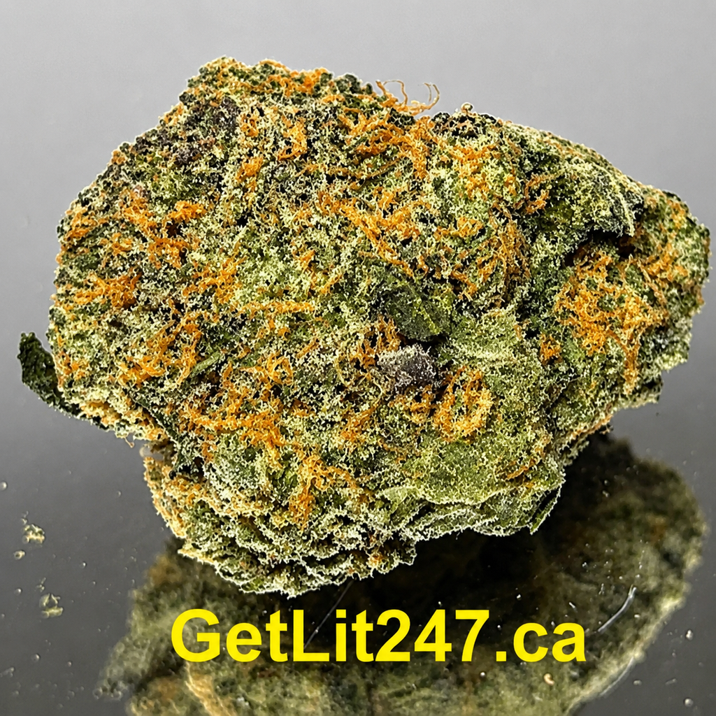 "Premium" Island Sweet Skunk - Hybrid 60% Sativa / 40% Indica - THC 30%
