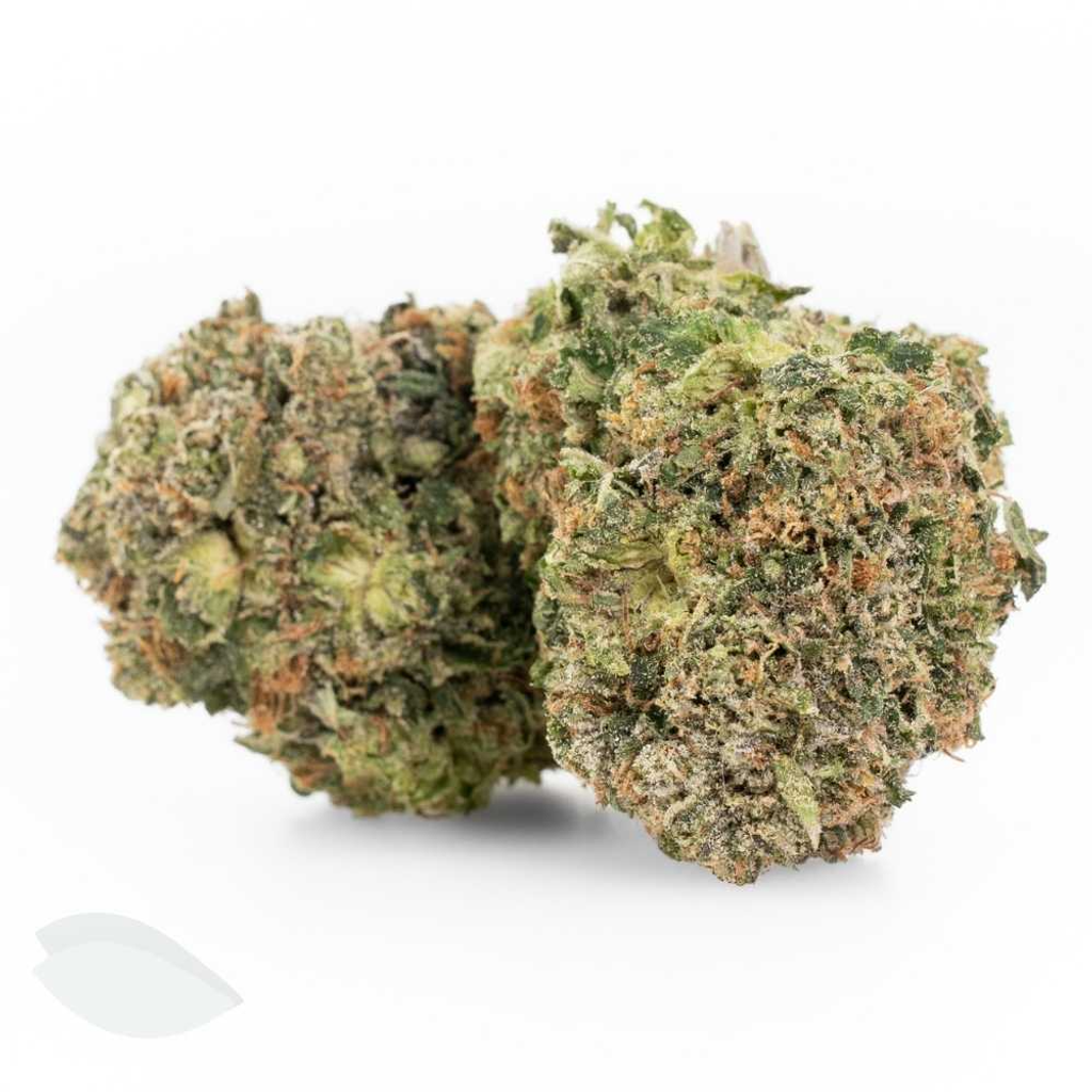 Coastal Pink (AAAA Indica Flower)