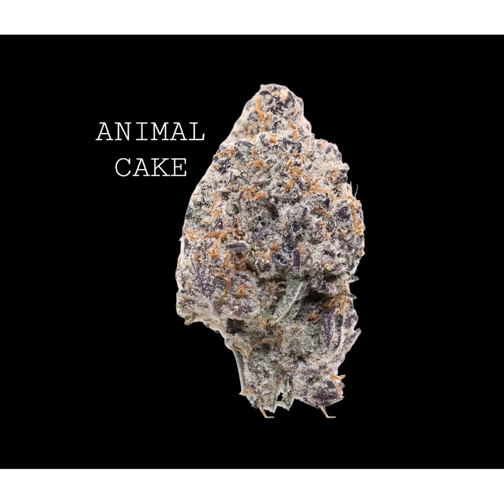 ANIMAL CAKE
