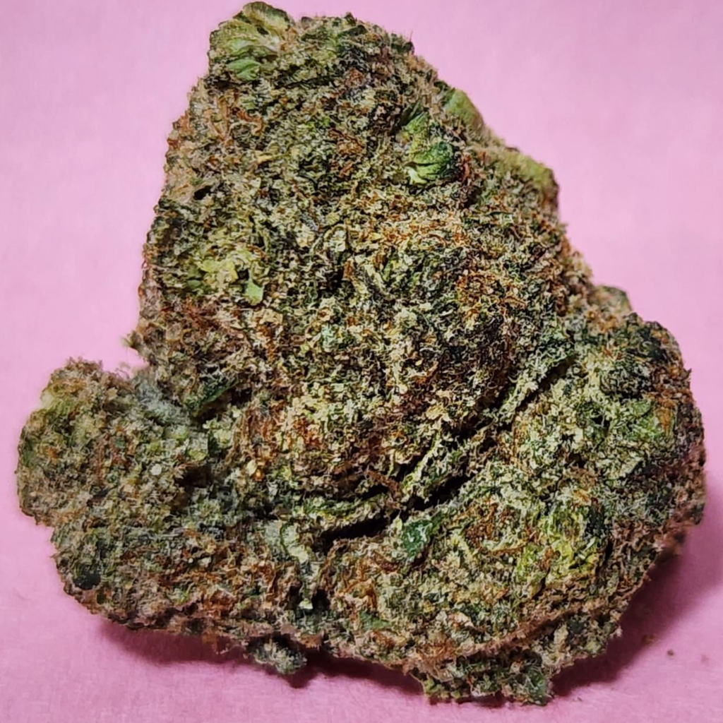 (Exotic) Pink Willy Wonka 🔥 ⛽️ 