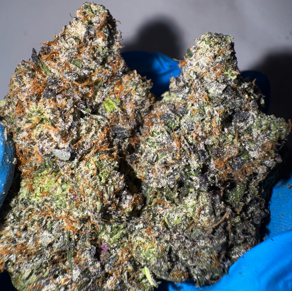 [NEW] LSO Dyno Pink  AAAA+ (5*)