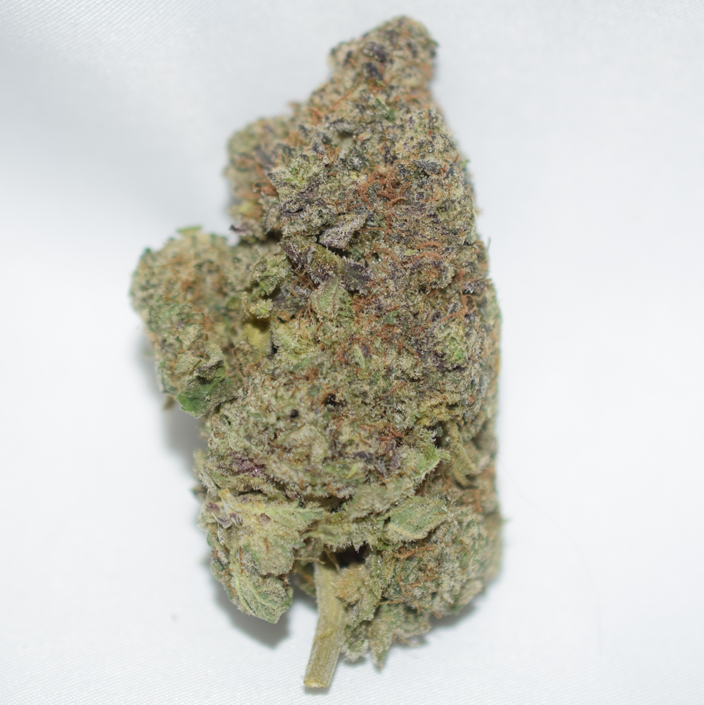 Animal Face Sativa Dom Hybrid AAAA 