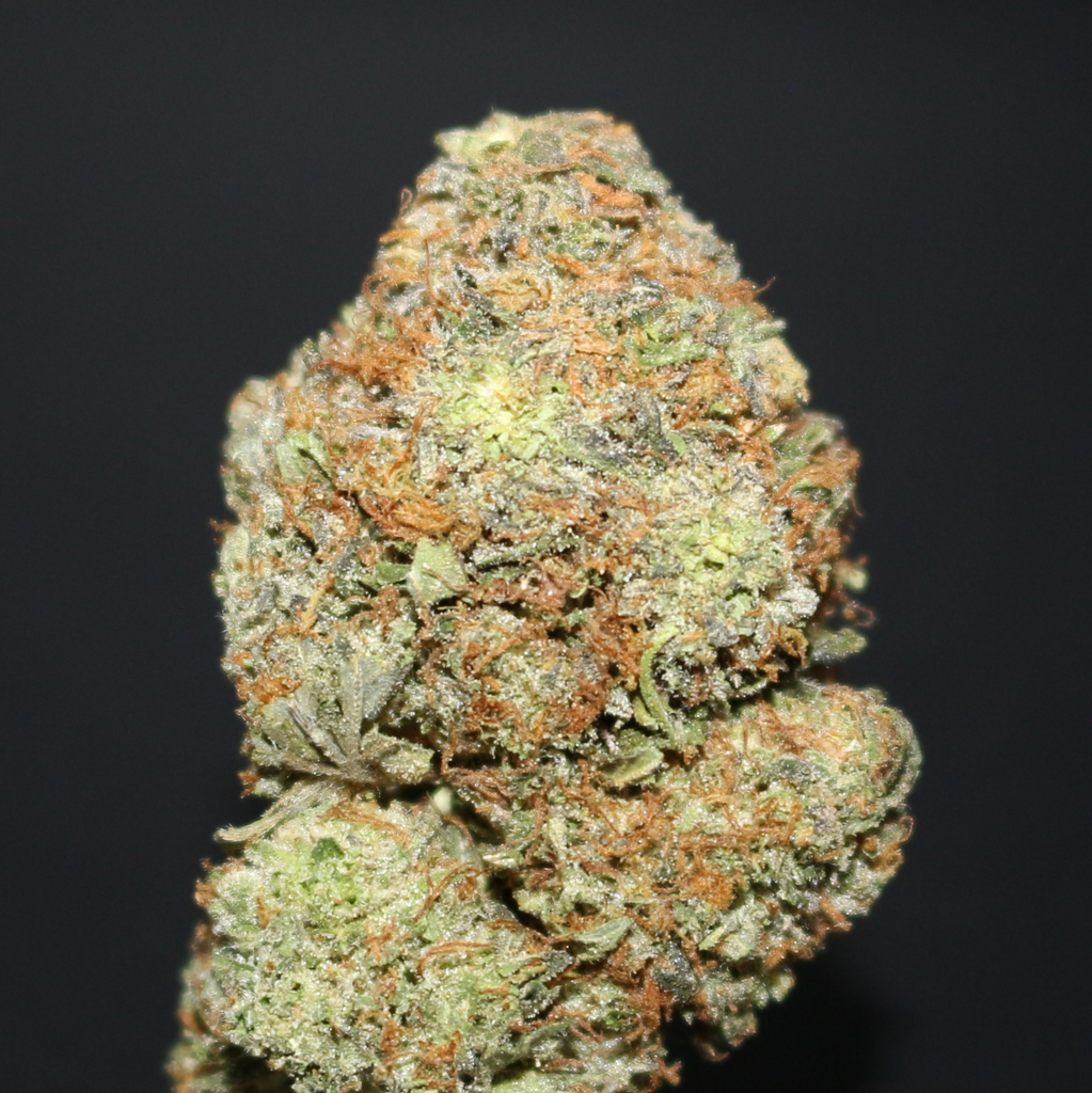 AAAA | PALMDALE PINK BY GAS TOWN - 7G