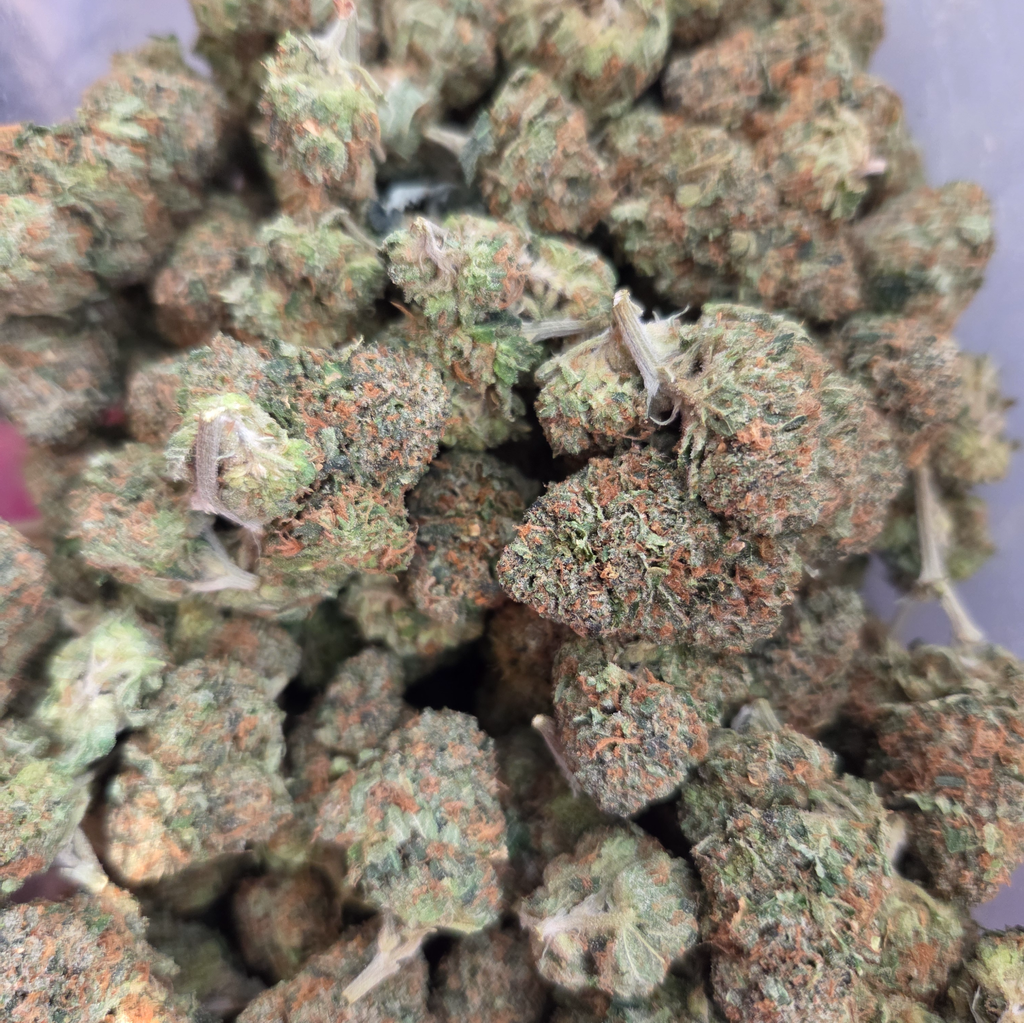 MotorBreath Pink 2/ $135
