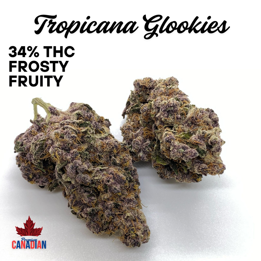 ( 5 STAR ) $150 TROPICANA GLOOKIES| 2 OZ $280