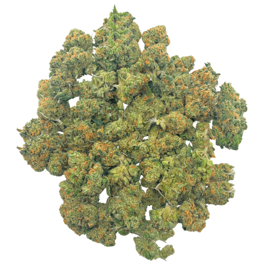 AAAA Alien Gorilla