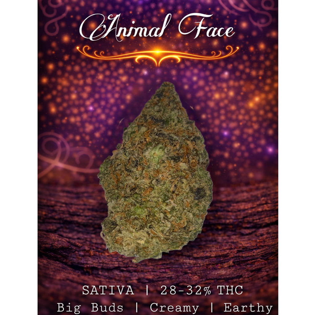 Animal Face 🦓 | Sativa | 28-32% THC | $100 an oz | $150 for 2 ozs | 