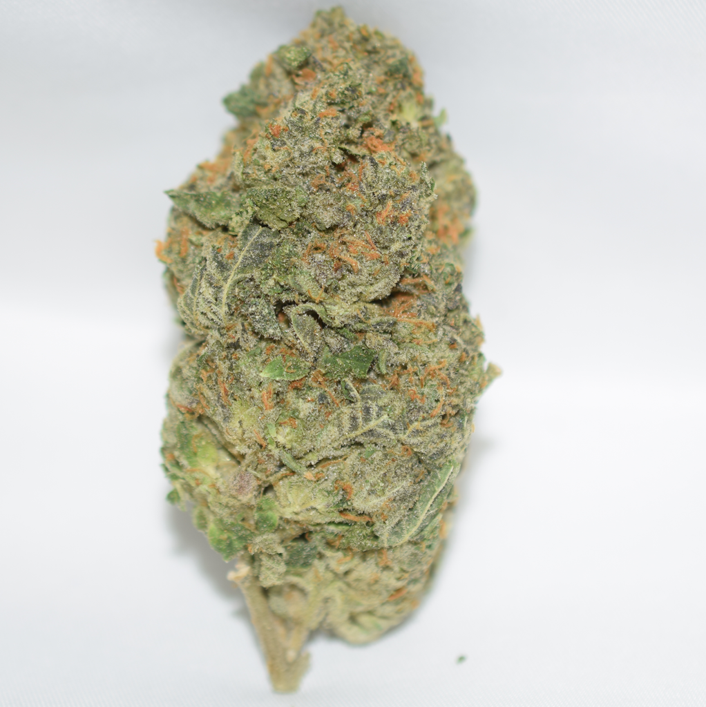 Blackwater Indica Dominant Hybrid AAA+