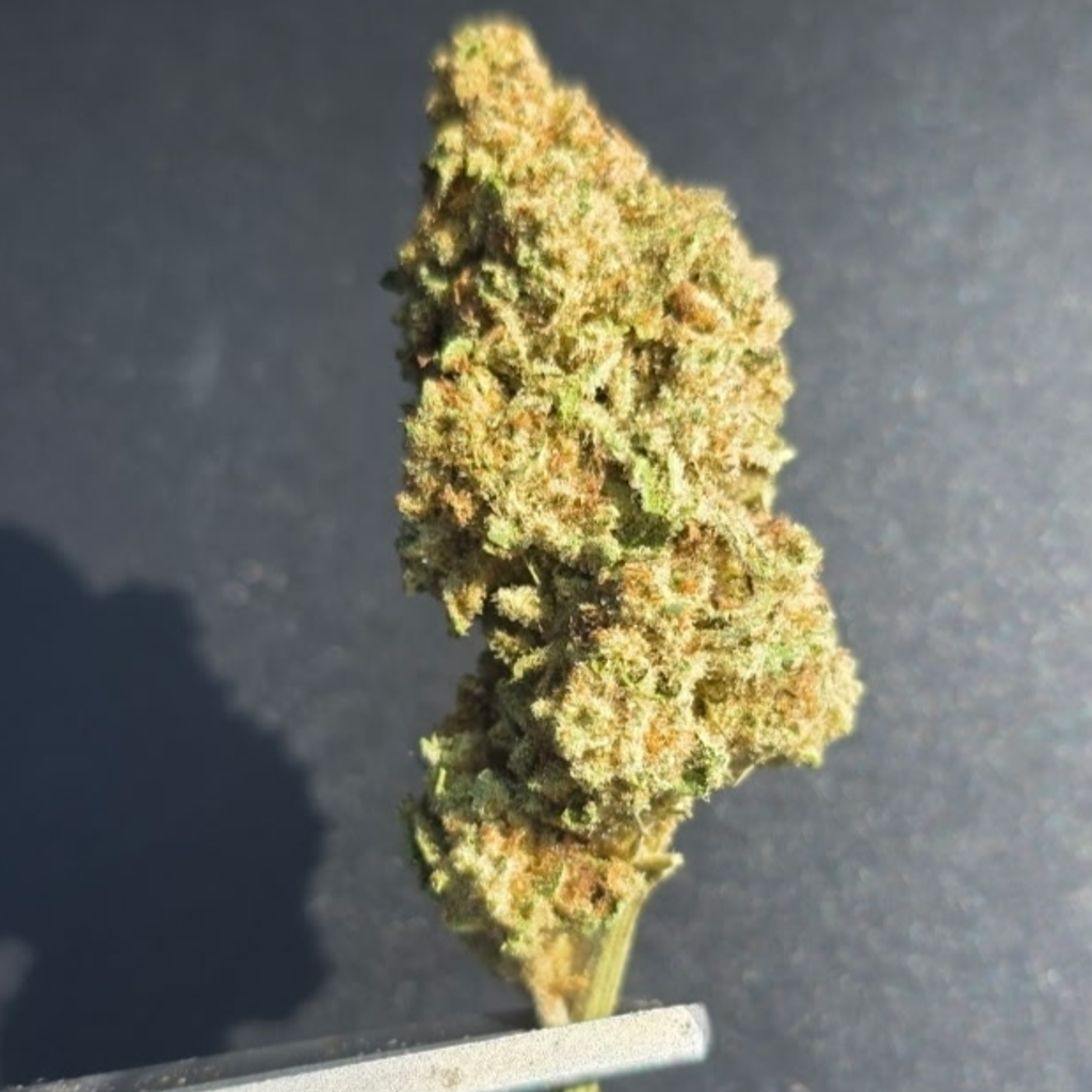 Bubba Kush AAA+ 2 OZ For $100 Mix n Match (Bulk Deals See Details)