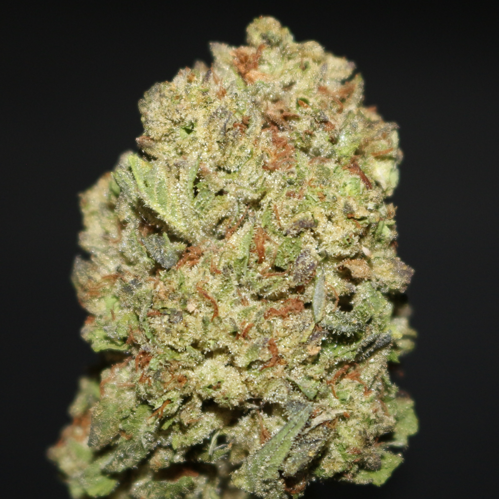 AAA | JEALOUSY BY GREEN DISTRICT - 14G