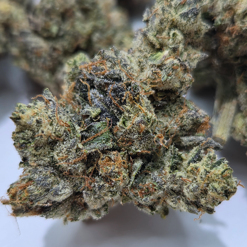 (NEW) Animal Face $120/Oz 🔥 