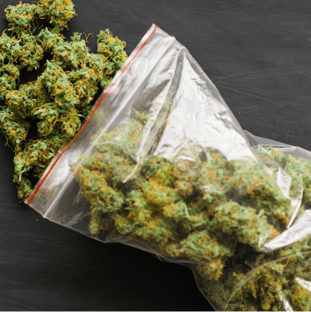 Weed Delivery Sarnia: What Should Users Look for in a Reliable Service?