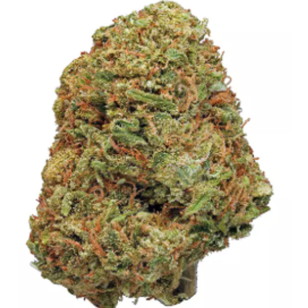 $200 FOR QP-  Jack Black 