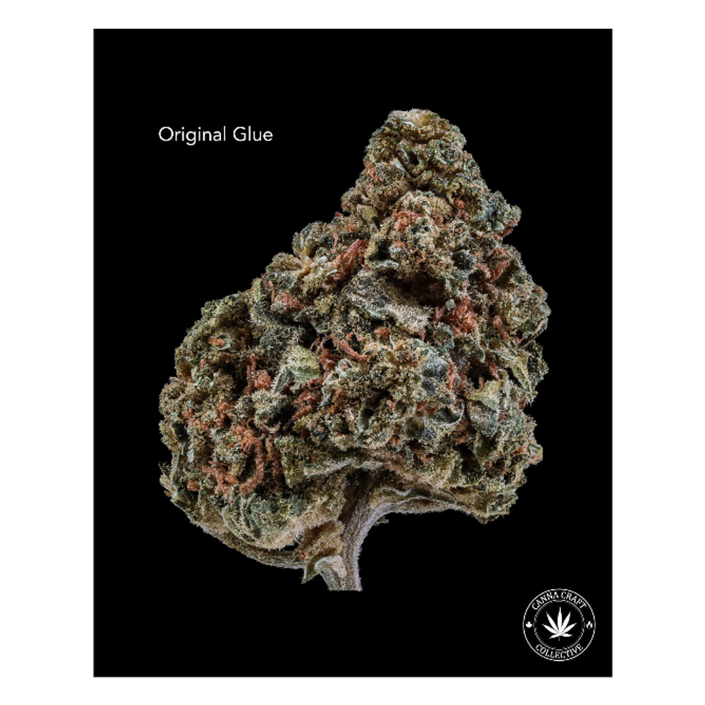 AA+ - ORIGINAL GLUE - $60-OZ $100-2OZ