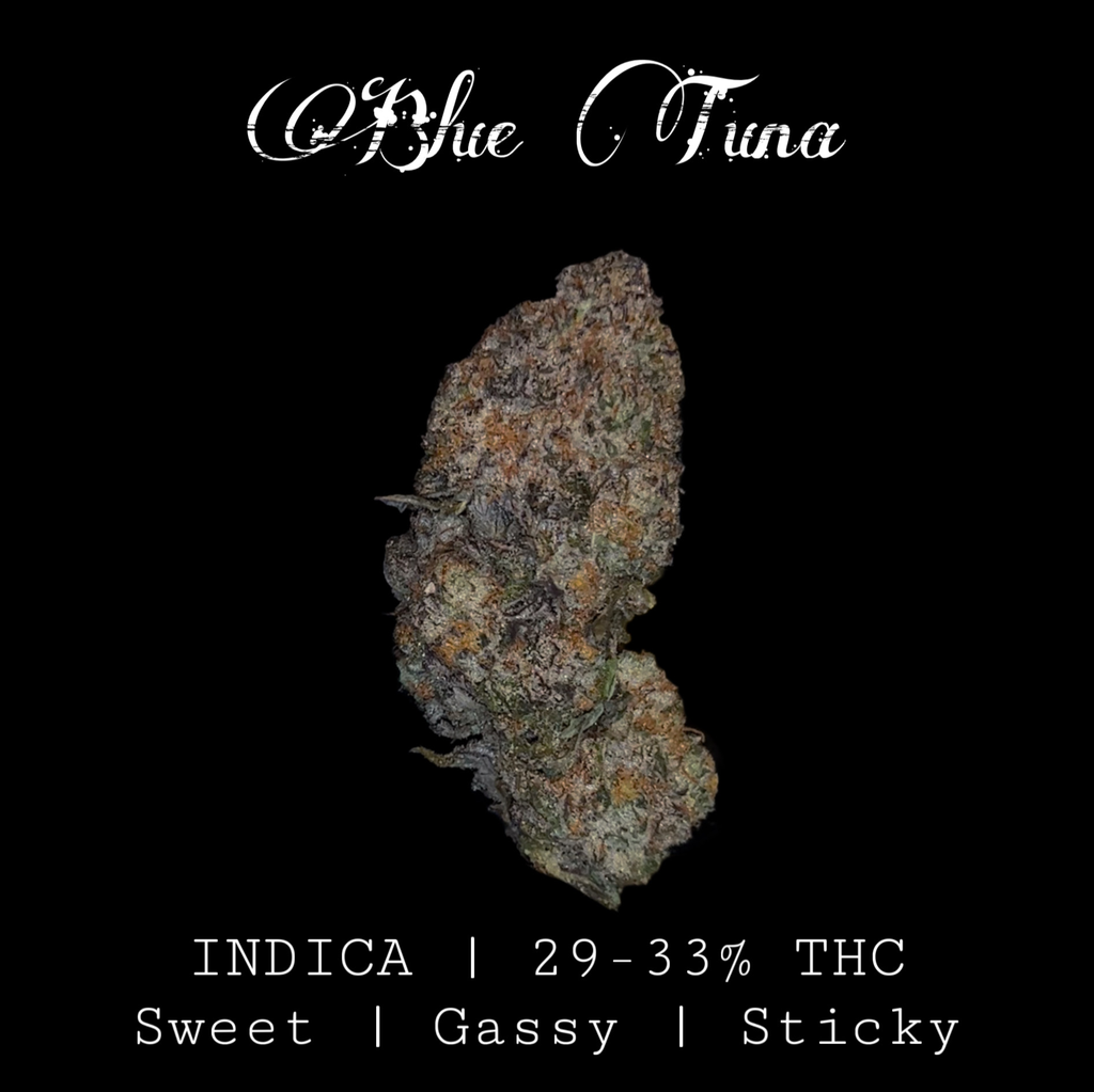 Blue Tuna 🍣 29-33% THC | INDICA | $110 an oz | $165 for 2 oz |