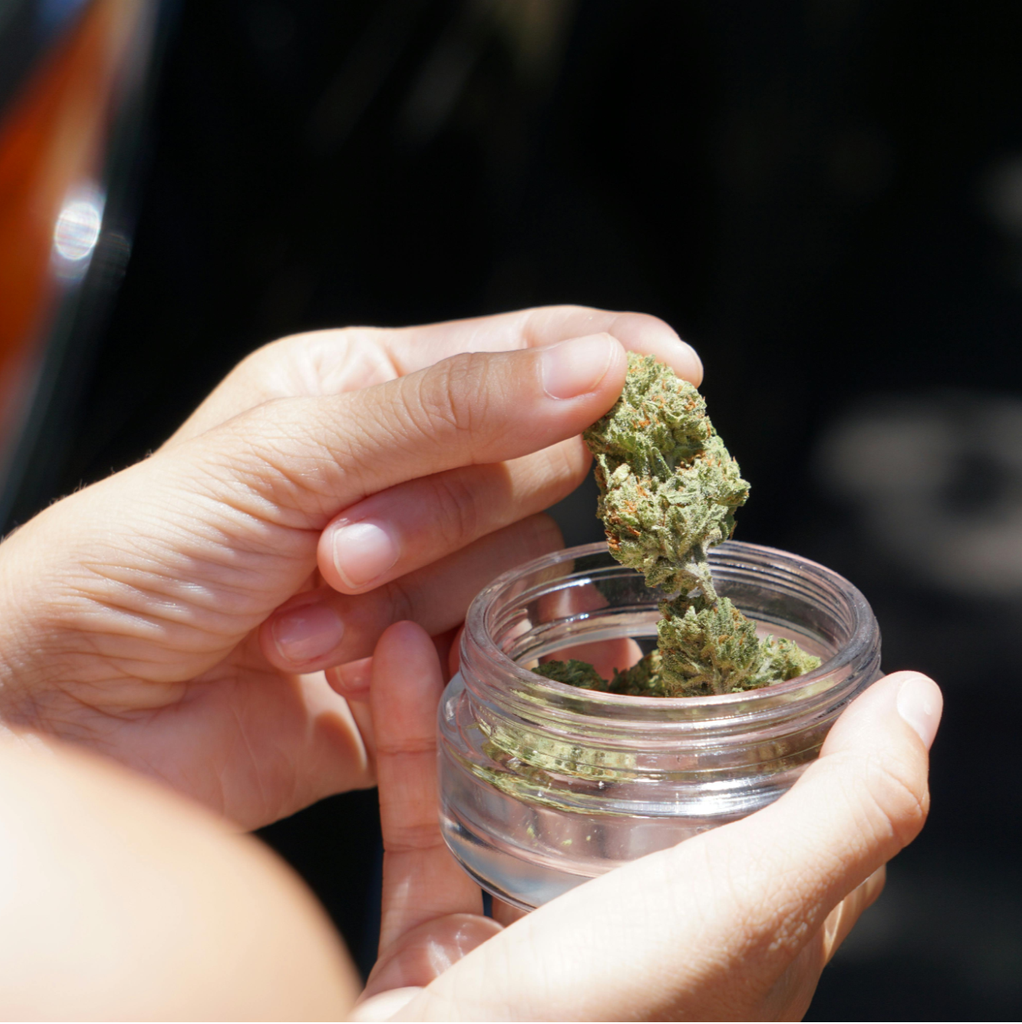 What Brampton Buyers Should Know Before Choosing a Creativity Strain in Flower, Vape, or Pre Roll Form 