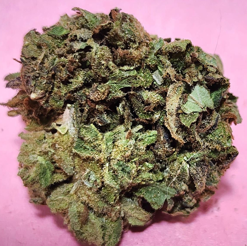 (3 oz For $155) Hawaiian Haze 🔥 🏝️ (Budget Oz)