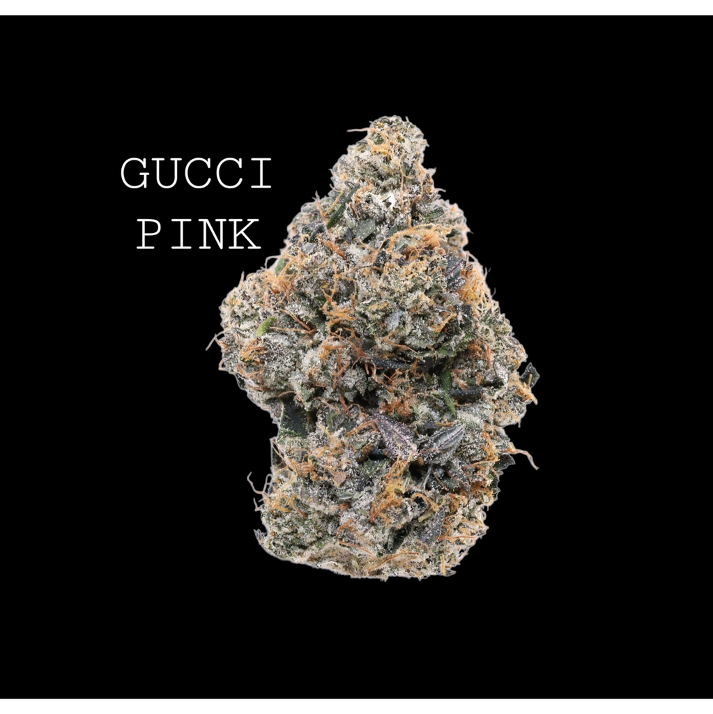GUCCI PINK