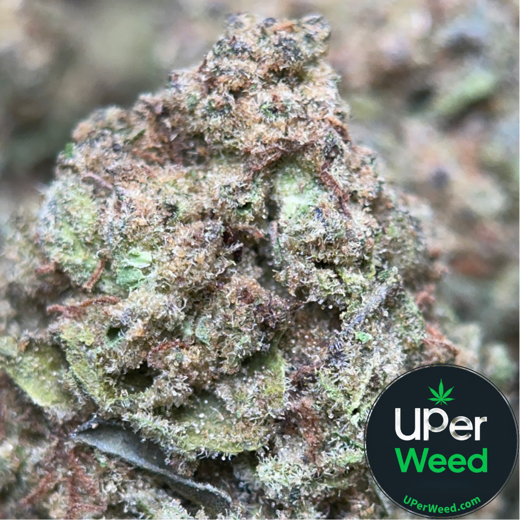 (28G) - Apple Pie 🥧🍎Hybrid | 4Oz Bulk Deal for $200