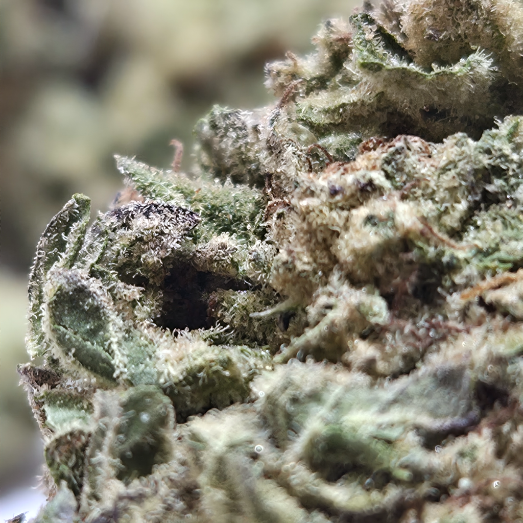 (NEW) OG Valley 🔥 ($65/oz) 🔥 