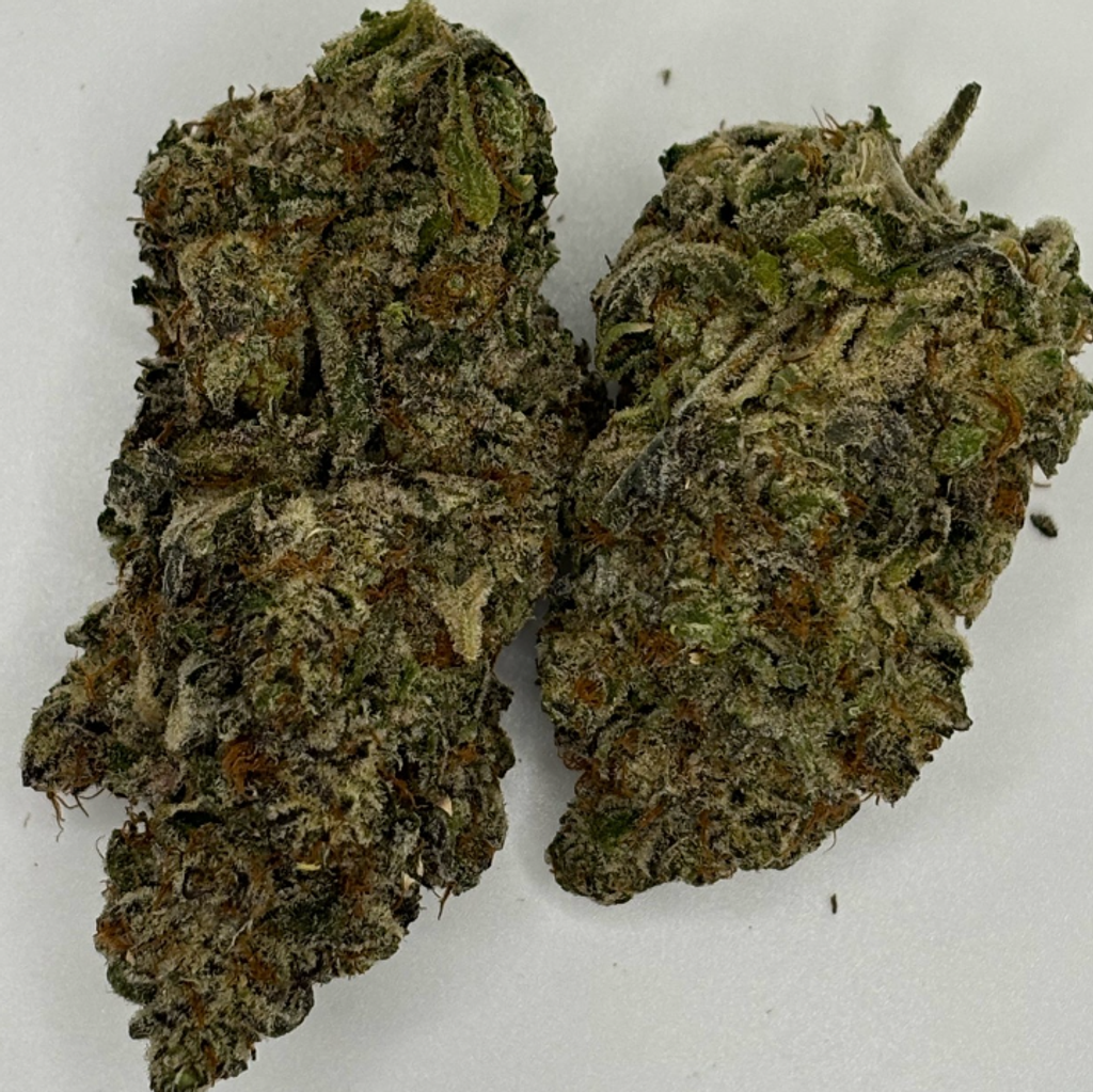 AAA+ King Sherb 2OZ for 200