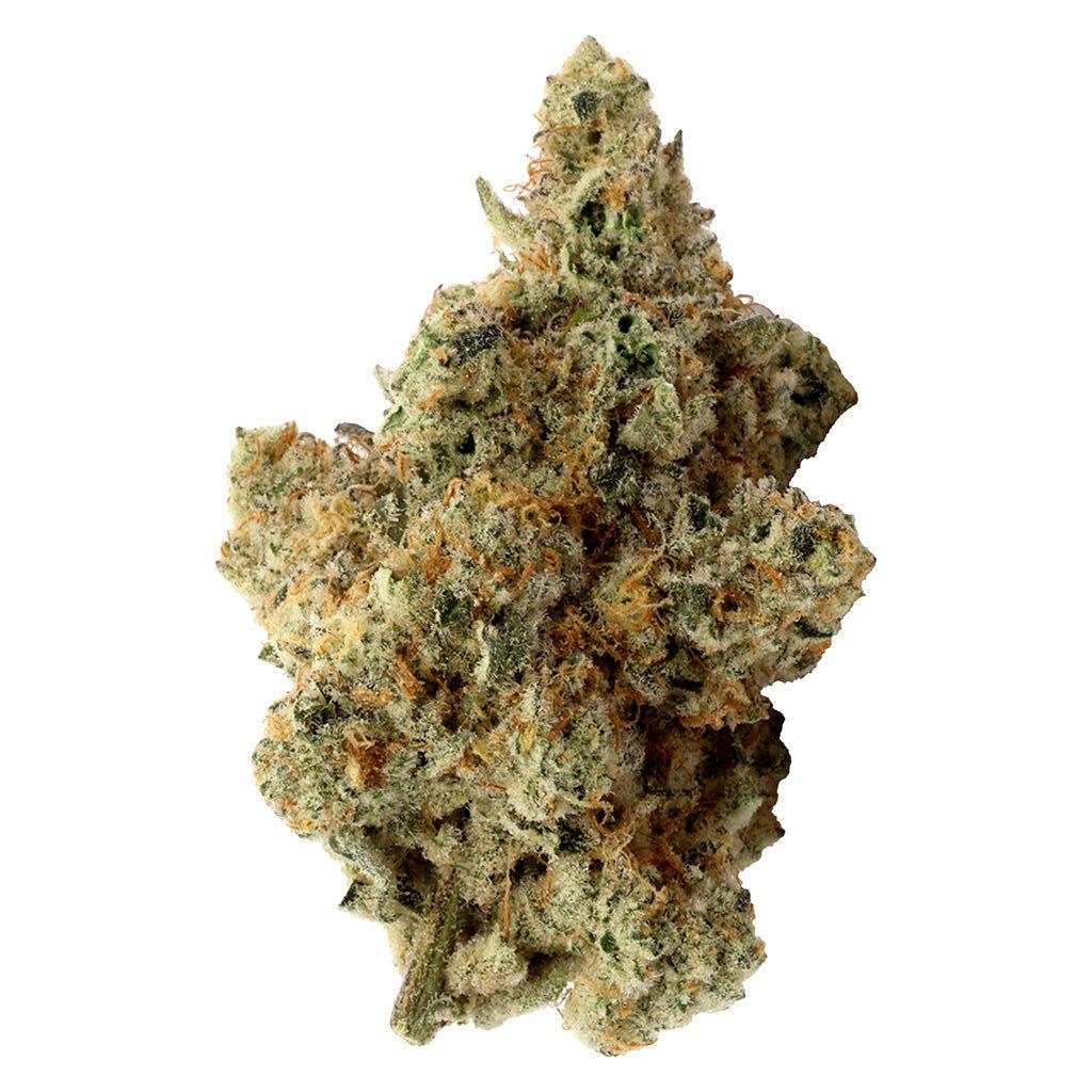 Animal Junky Premium Craft 3.5g <br>Hybrid <br>31% | 2.16% Terps