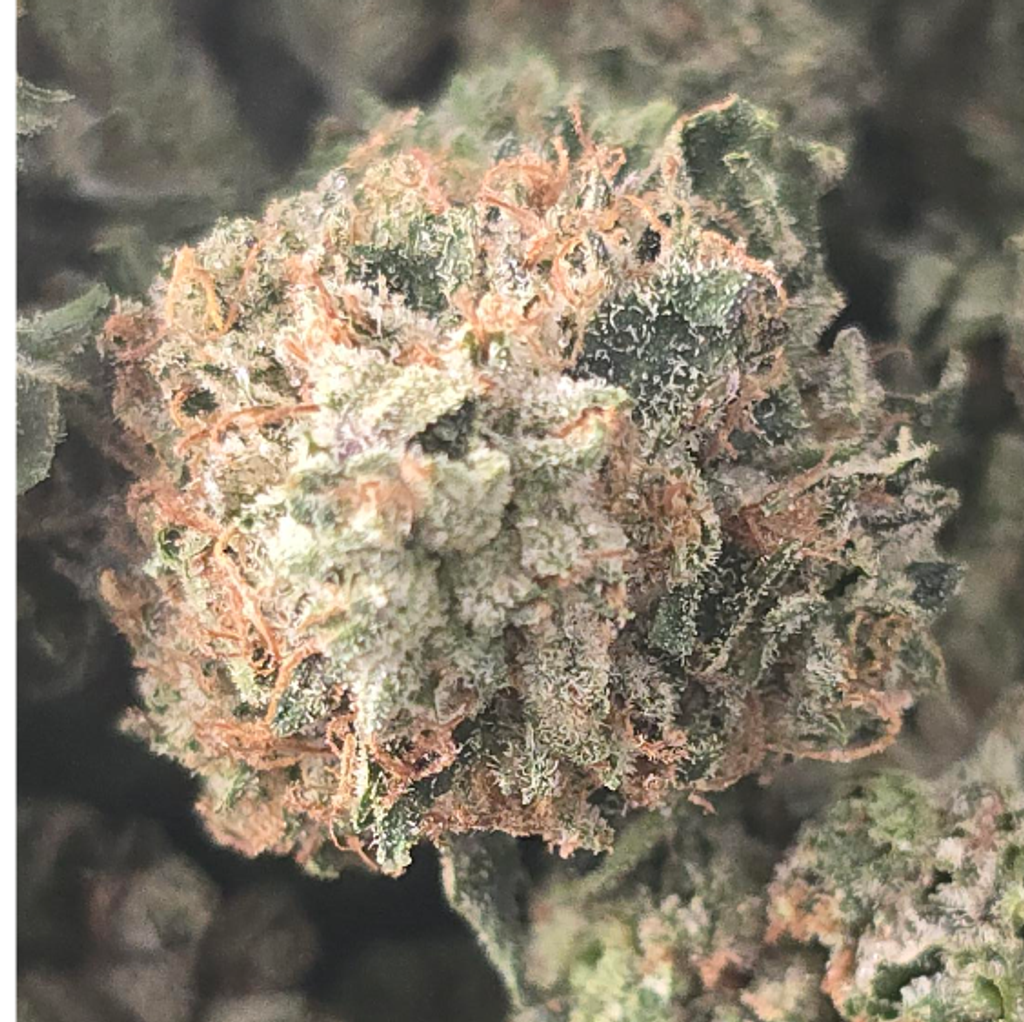 ASTRO PINK GAS 70OZ 2FOR130 4FOR250