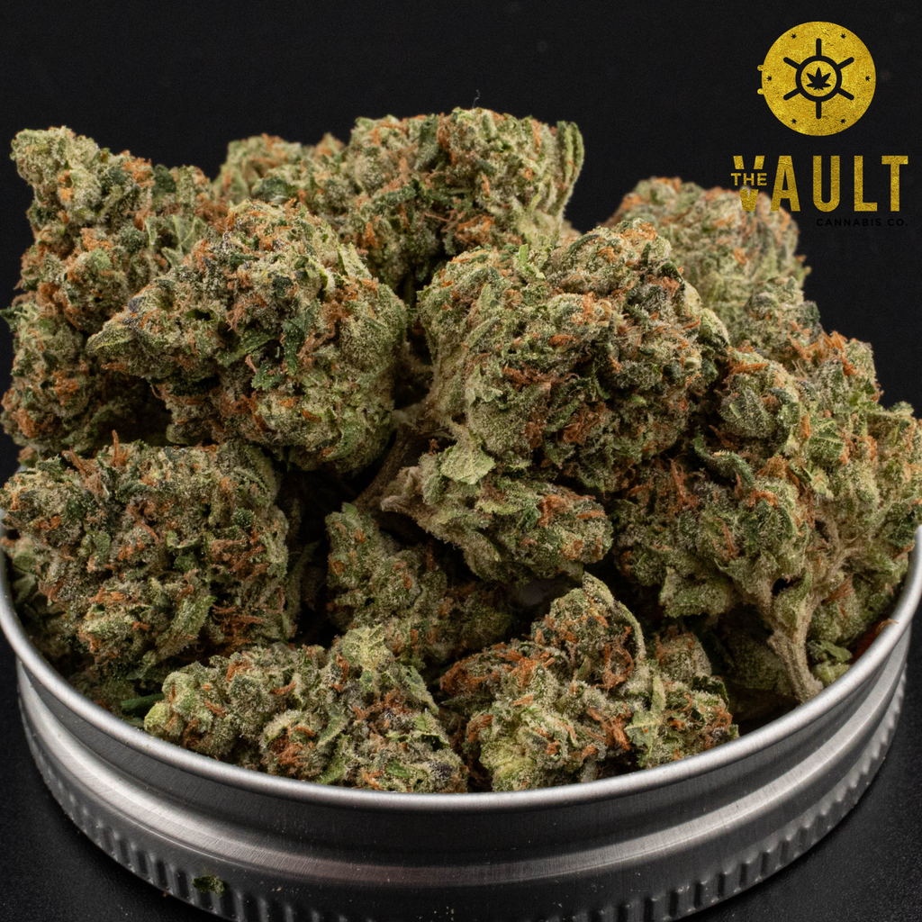  AA+ | ORIGINAL GLUE | ⭐️ NEW ARRIVAL ⭐️