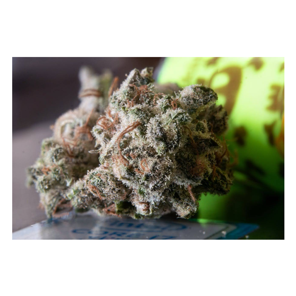 Best Weed Delivery in Toronto East - Top 5 Providers