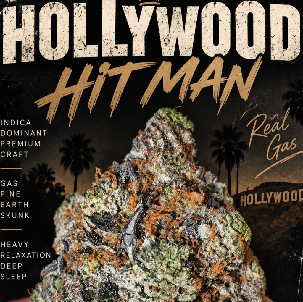 Hollywood Hitman