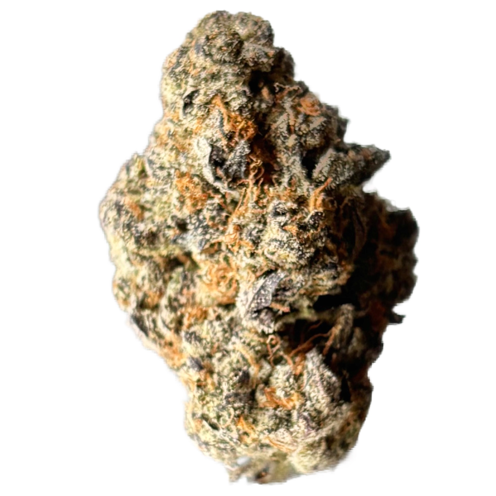 *****Black Truffle