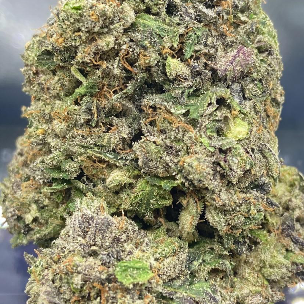 *NEW* Bombsicle