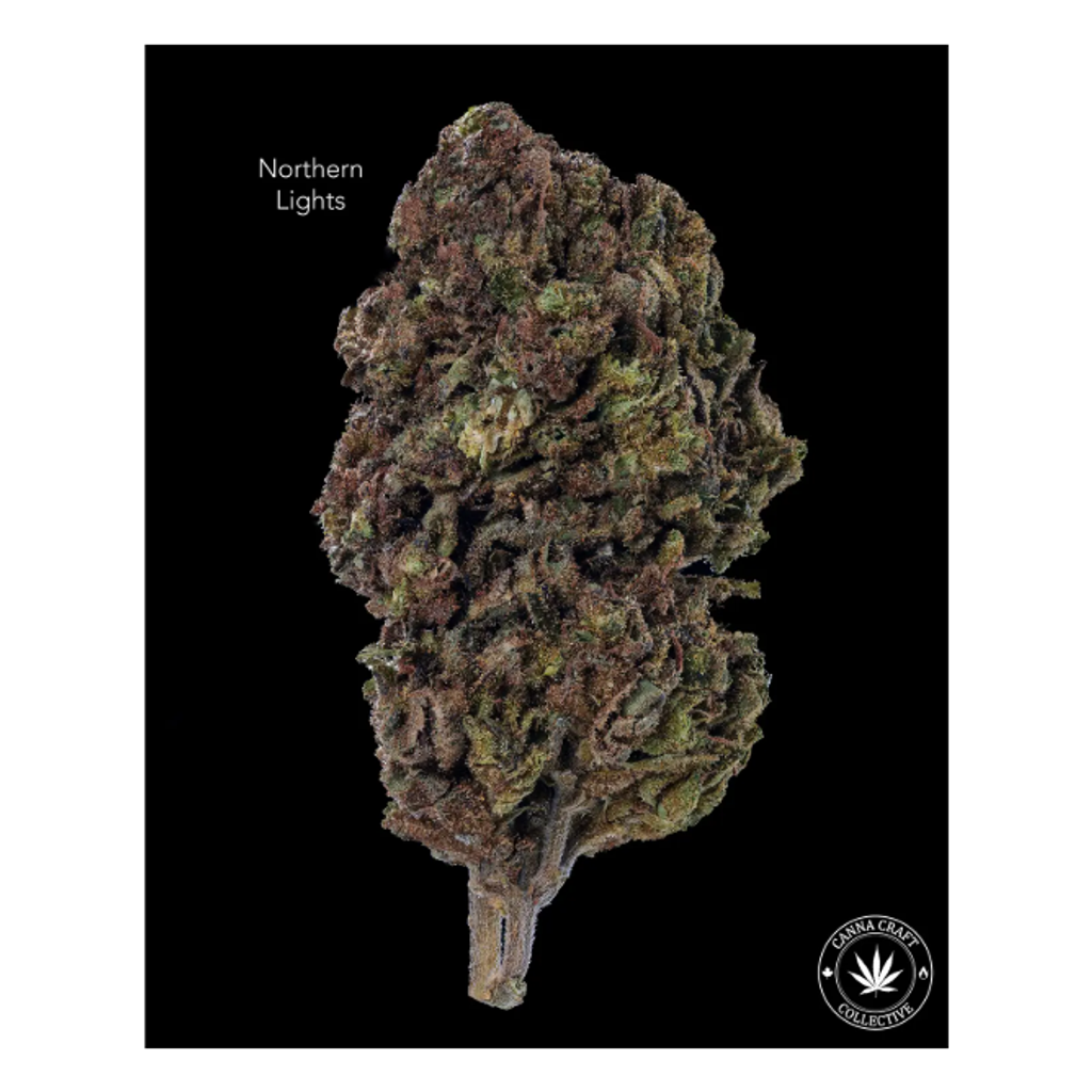 AA - NORTHERN LIGHTS