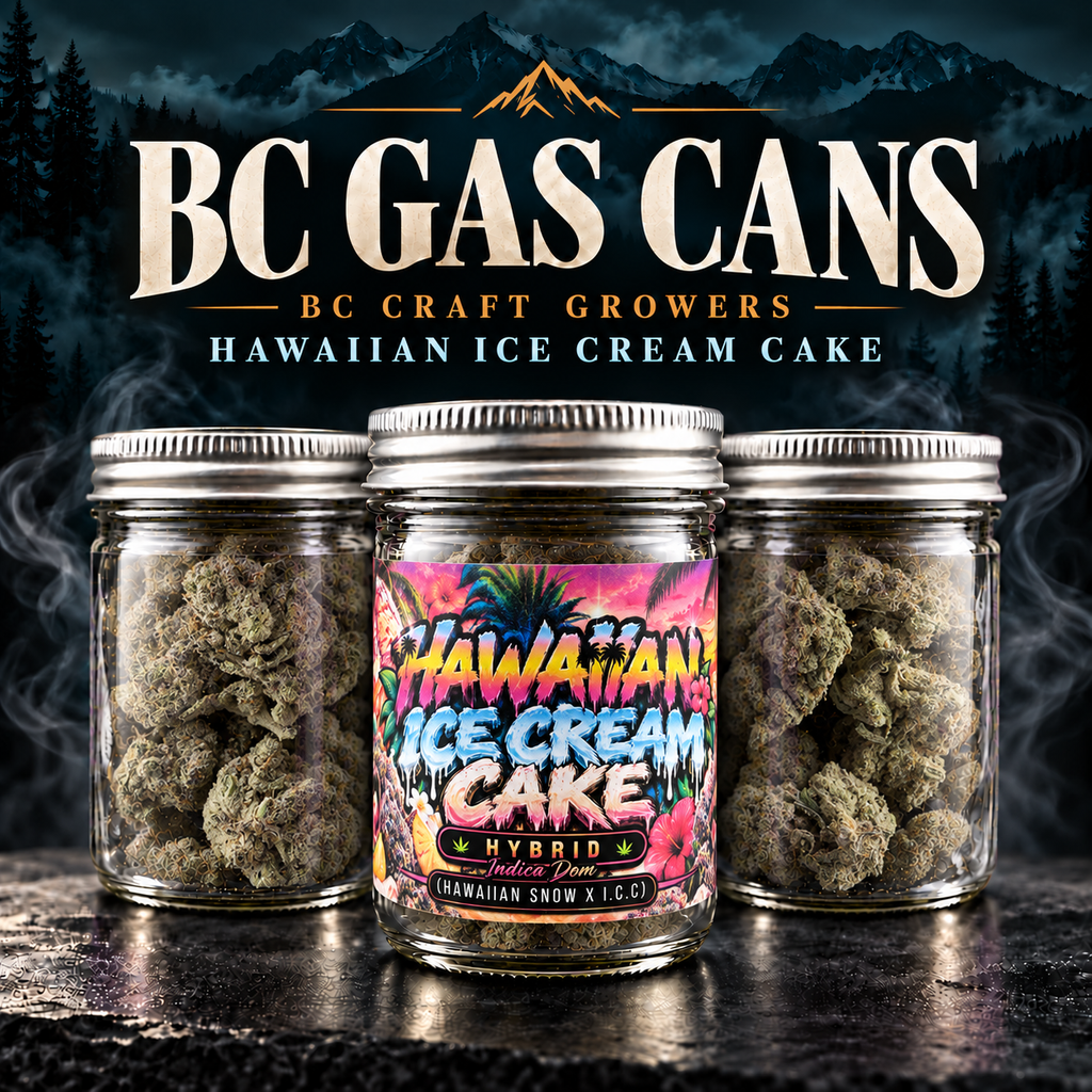  [AAAA+] BC GAS CAN - Hawaiian Ice Cream Cake - Hybrid - 14G