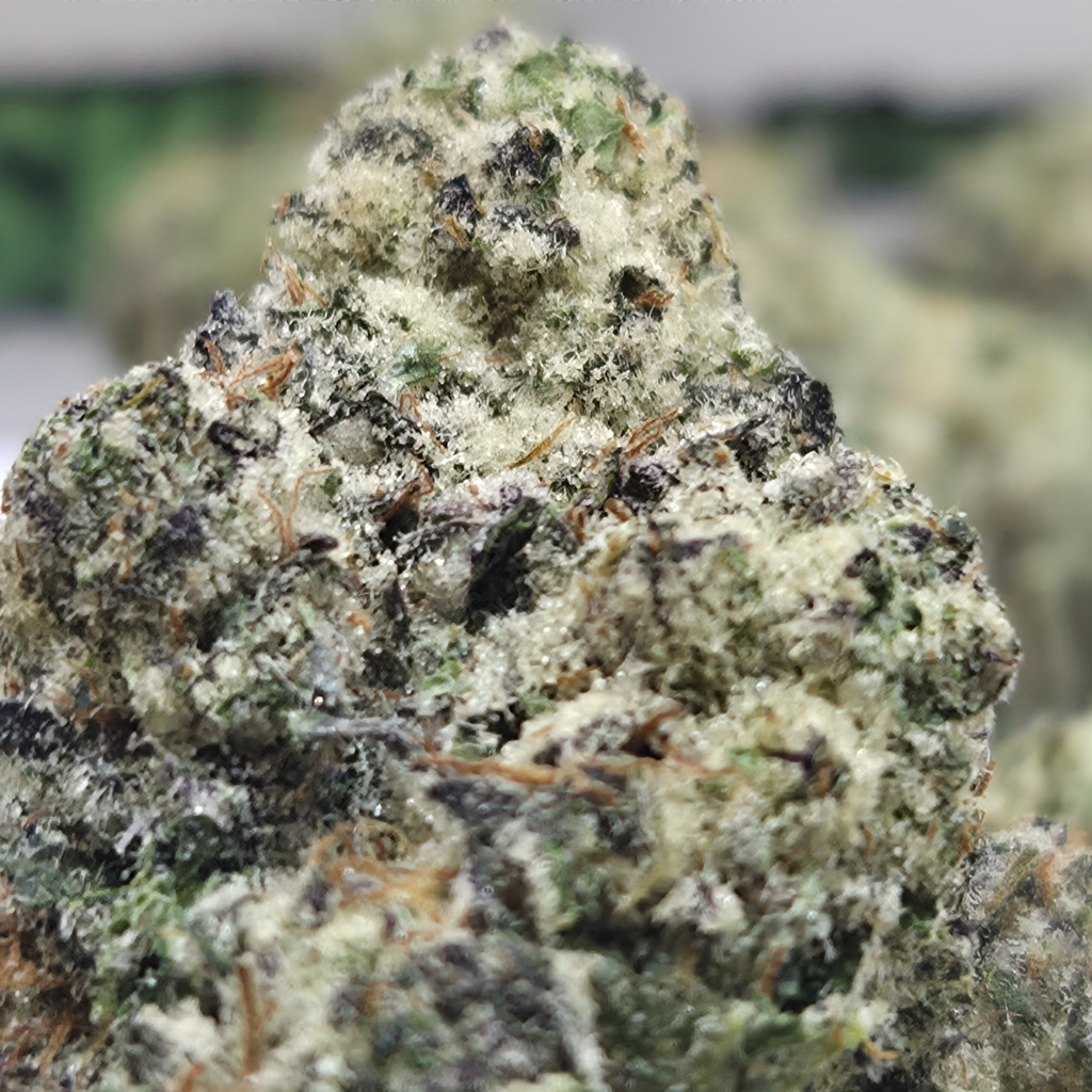 (NEW) Tigers Blood 🐅 🩸(2x Oz for 200/Oz 🔥)