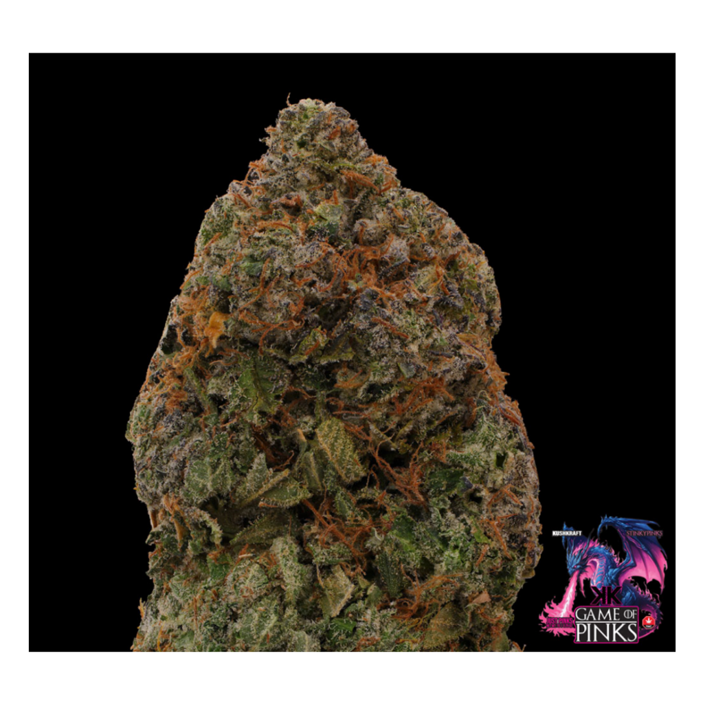       💥 ON SALE 70$! 💥 AAAA+ | Game of Pinks - Pink Diablo (7G)