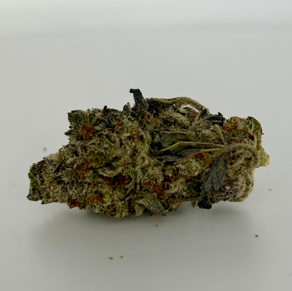 $100 OZ - Michigan Skunk