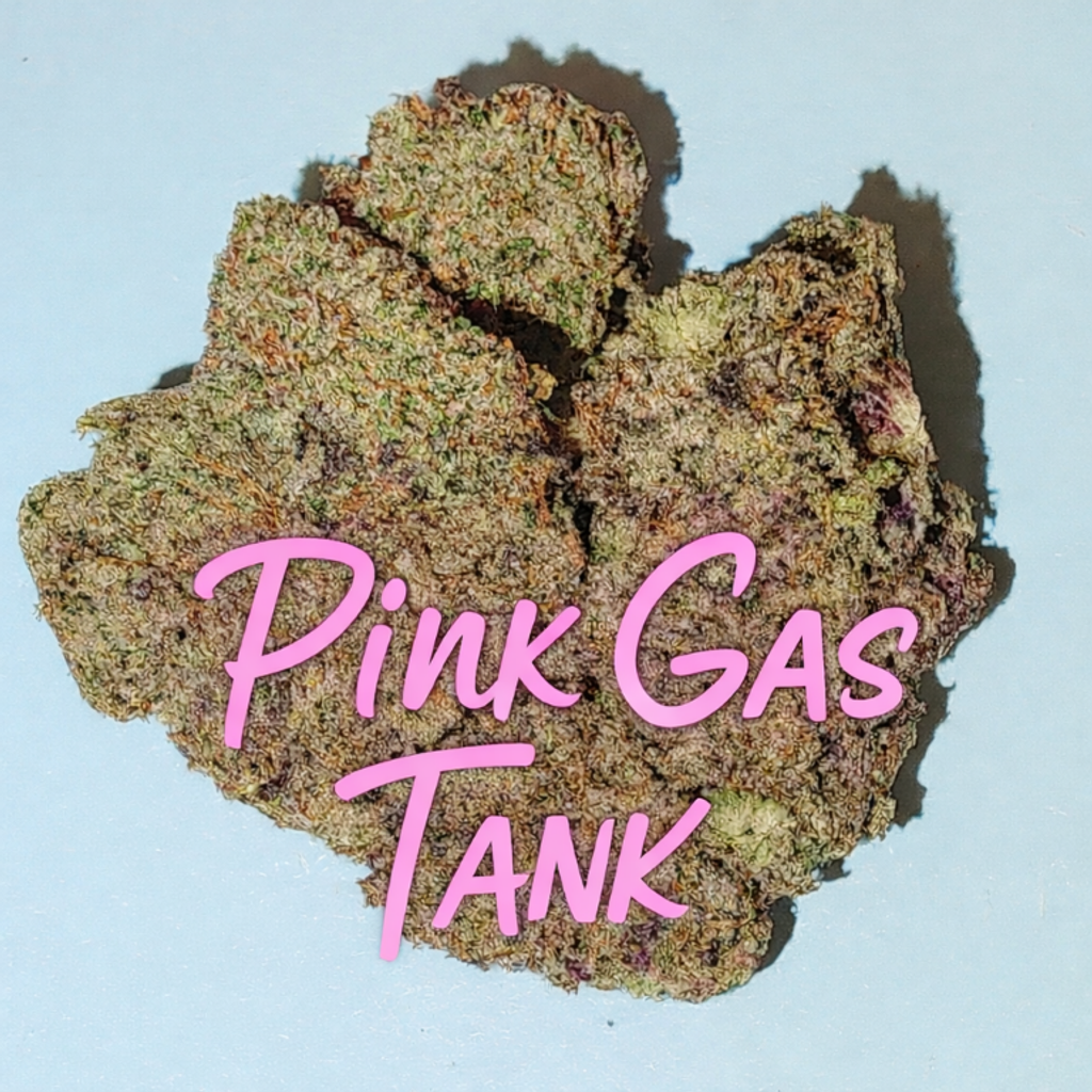 ? Pink Gas Tank Diesel – Greasy, Sticky, Ultra-Gassy Indica 
