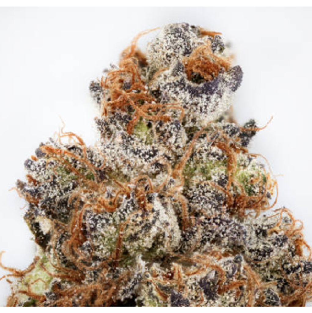 New BP Oil Tanker Pink 125$ oz 2 for 200 