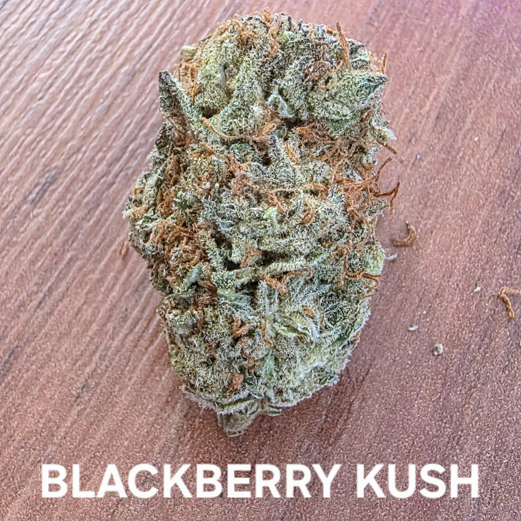 Blackberry Kush Indica Dominant 