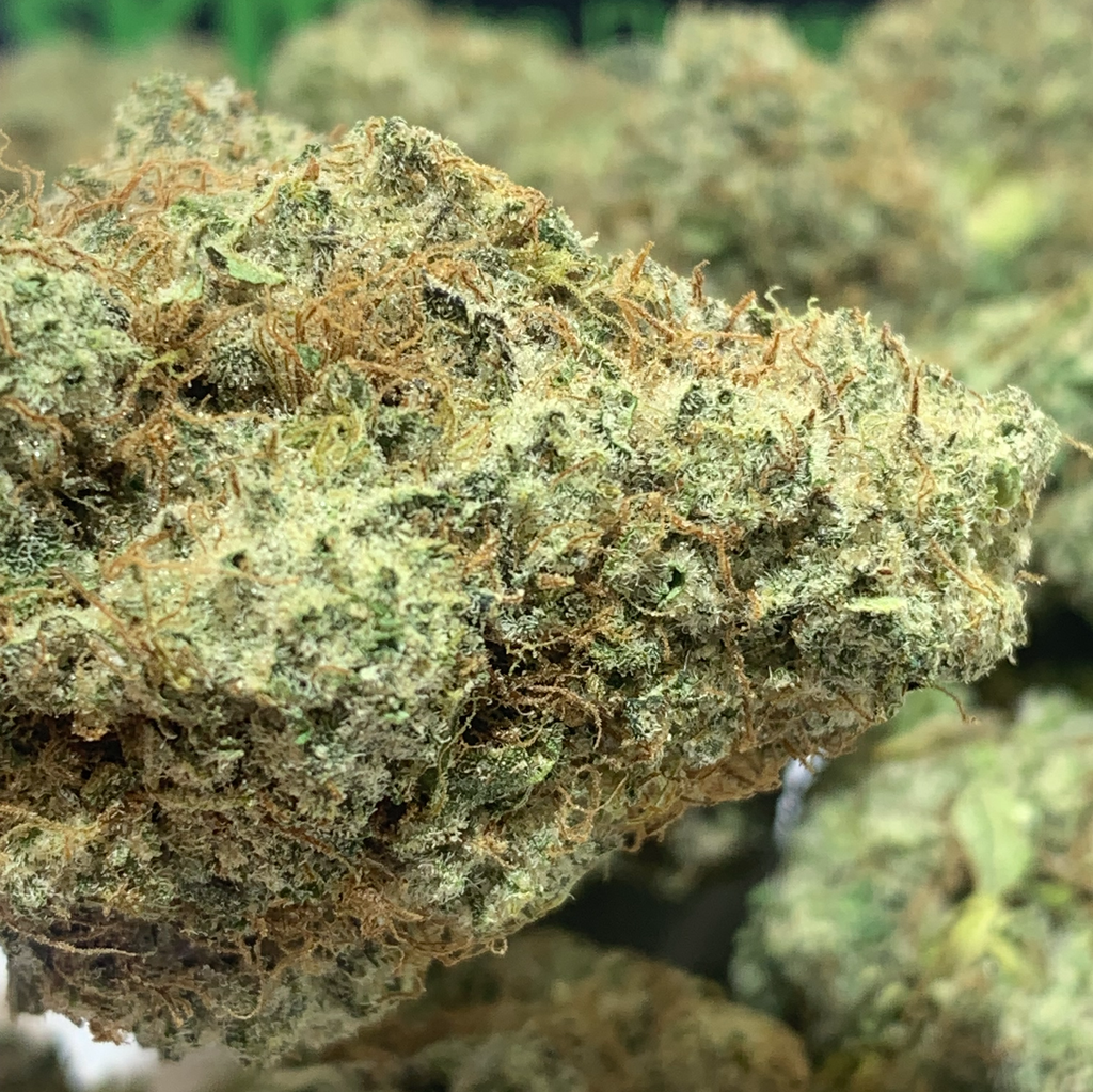 (NEW) Blue Trainwreck  **$140**