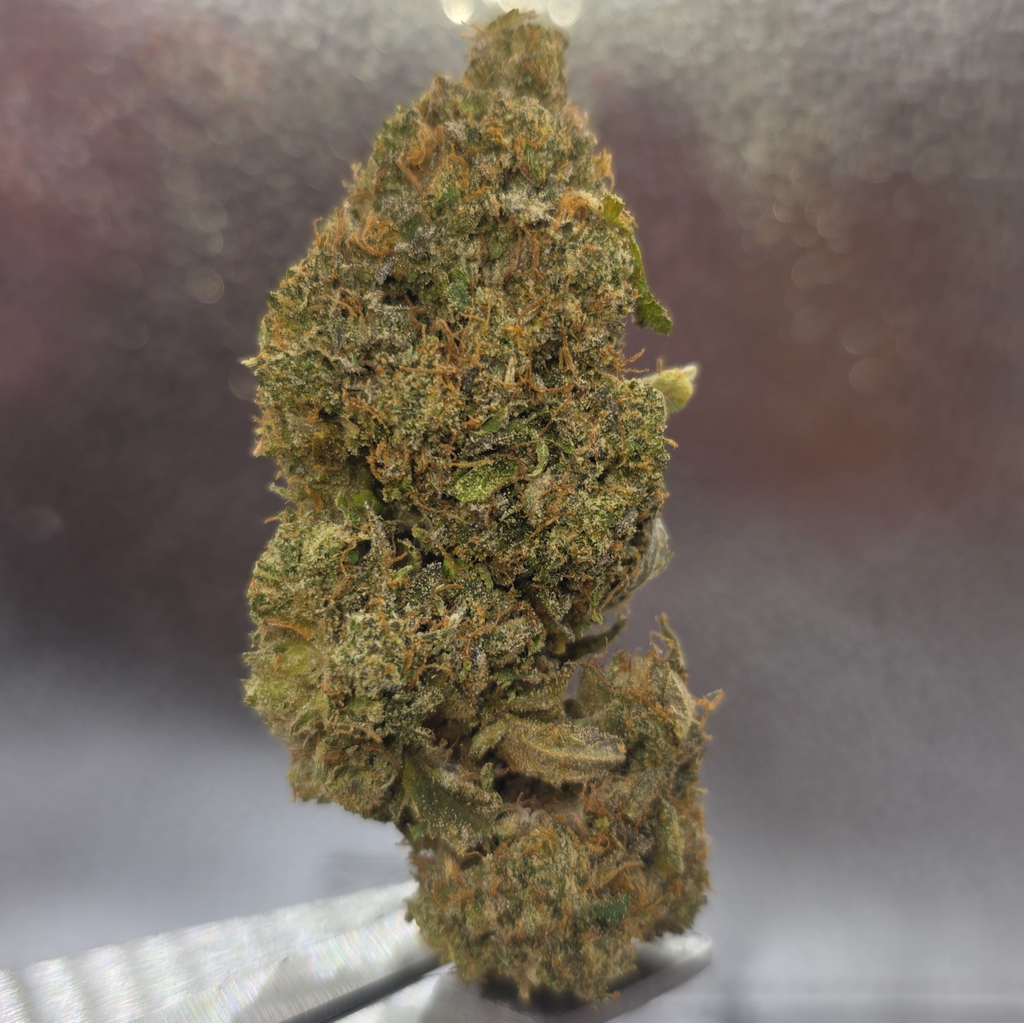 Dante's Inferno AAA++