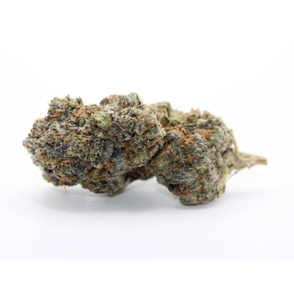 Motor Breath HYDROPONIC 🔥 Premium AAAA+