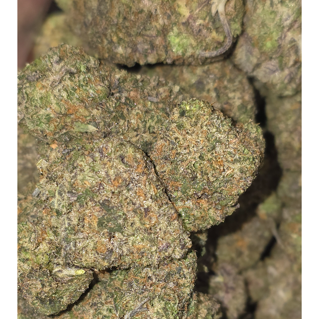 FUNKY SKUNK(kraft kronic) 🔥🔥🔥🔥🔥 