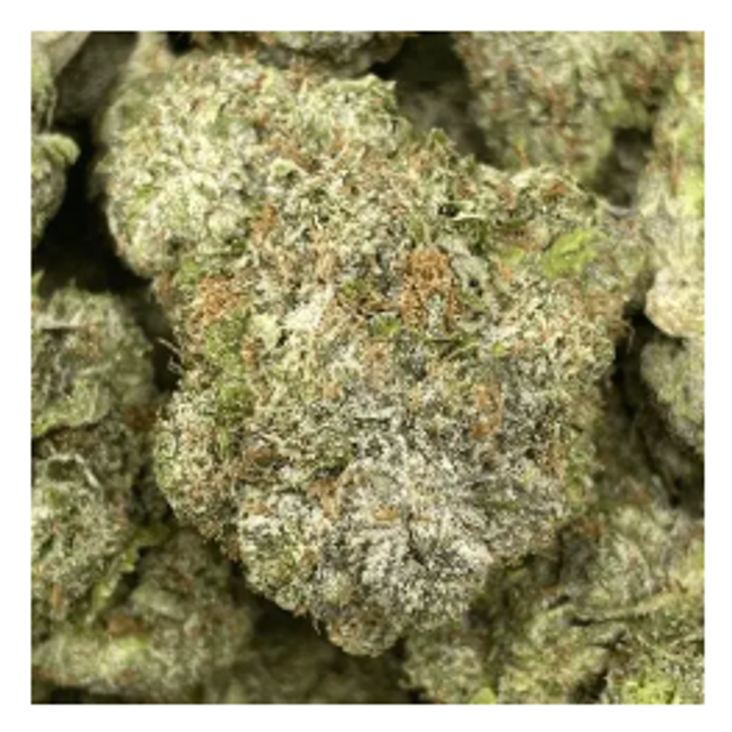 New Bad Bunny Pink 75$OZ 2FOR135$