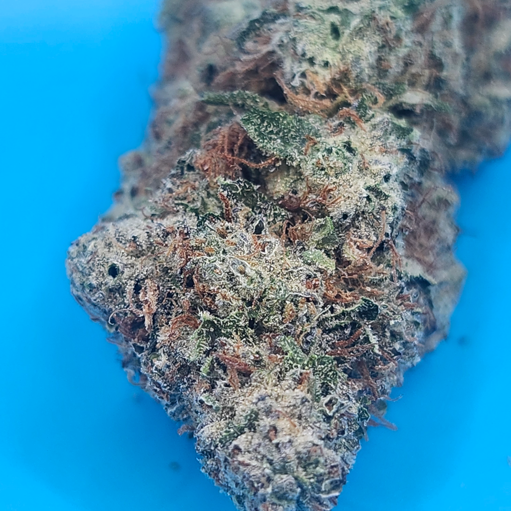 SALE(5 STARS) blueberry sugar 2 oz for 200